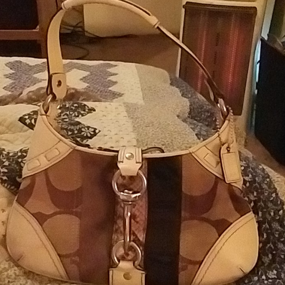 Coach Hobo Crocodile Purse